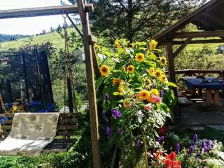 Гостевой дом Гостинний будинок 